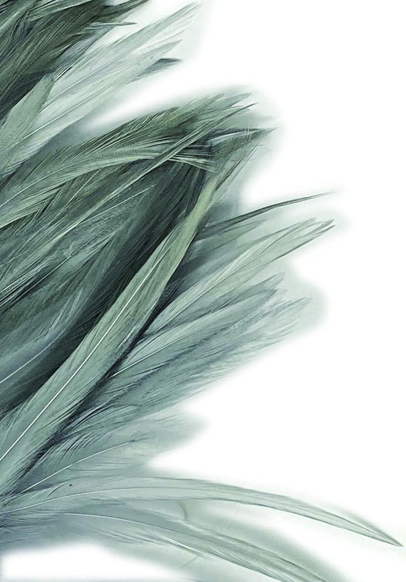 Creative Angler Saddle Hackle Fly Tying Materials - Natural Feathers for Wet Flies, Rooster Feathers, Hair Feathers for Crafts, Fly Tying Kit - Small Feathers Combo Pack of Steelhead Colored Feathers - Image 2